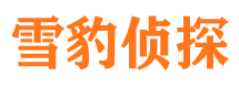 洪泽侦探公司